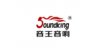 音王电声股份有限公司